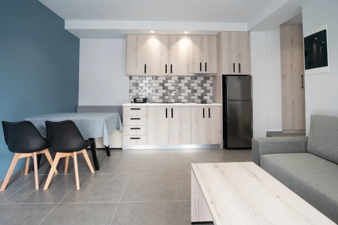 Open-plan living room and kitchen with a dining table and sofa